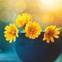 🌻 .张¹⁸⁵³⁸⁷⁷⁶⁵⁷¹