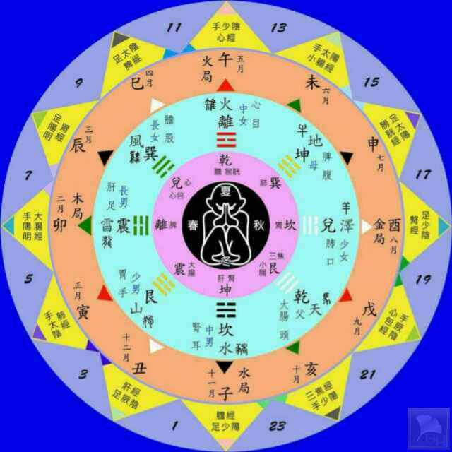 technicalguideforumbilicusneedlingtherapyiproceduresand