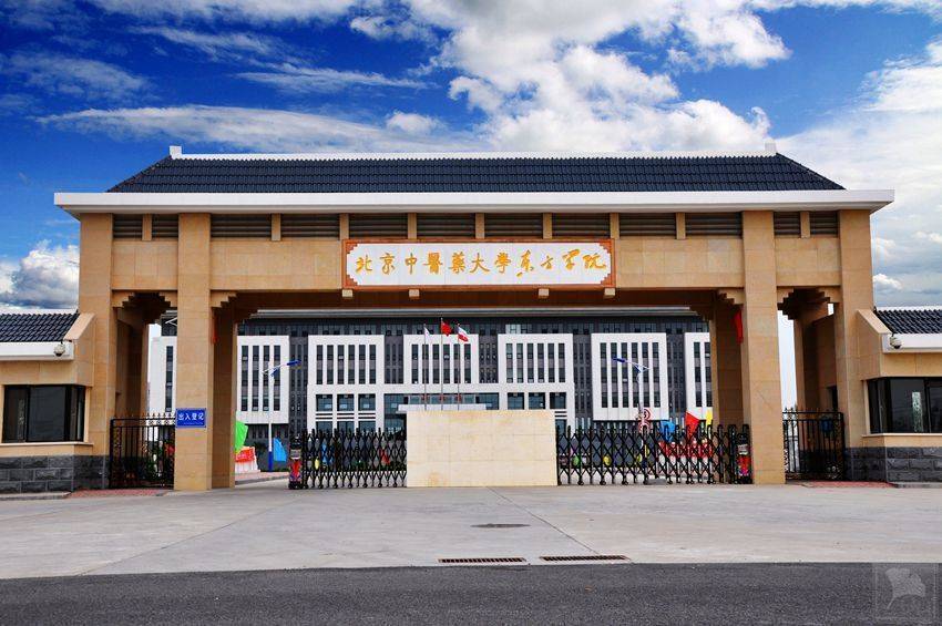 bucm international school 2017 admission guide